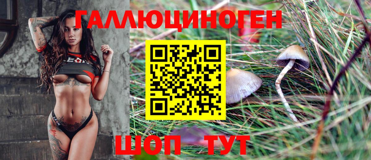 Псилоцибиновые грибы ЛСД Хасавюрт