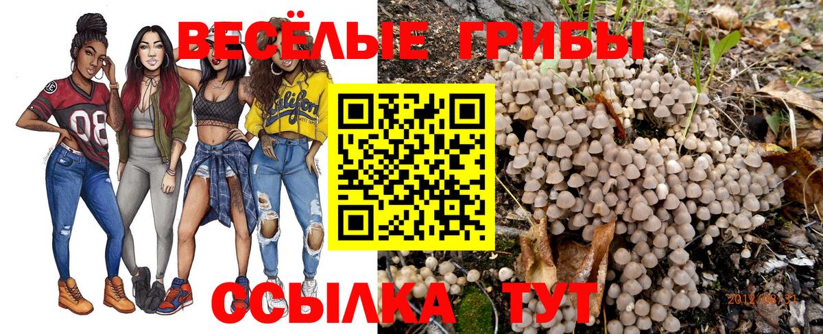 Псилоцибиновые грибы мухоморы  Вход с VPN  Хасавюрт 