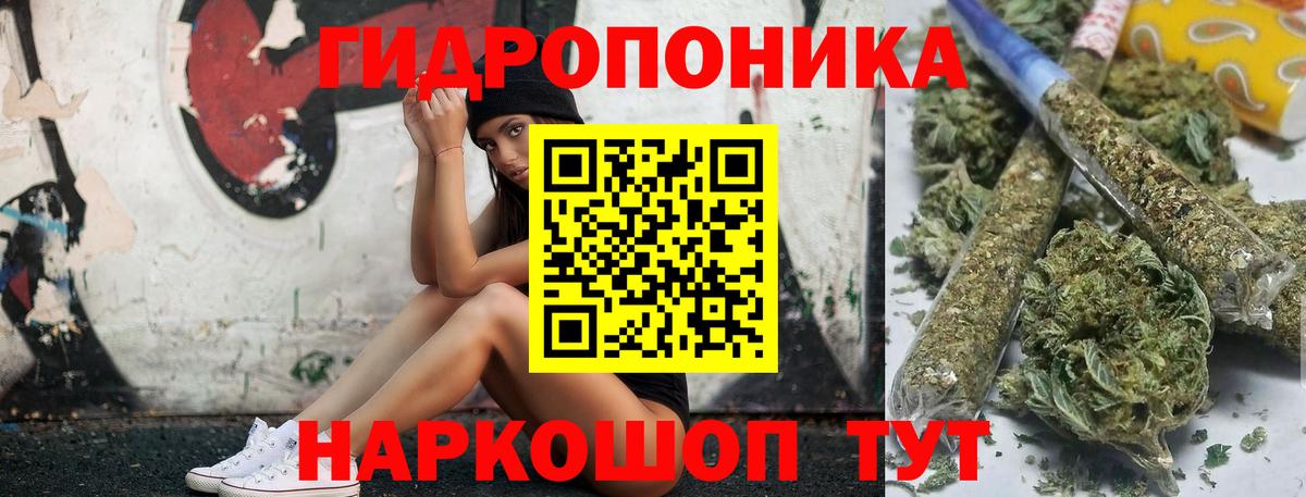 Шишки марихуана тримм  Вход с VPN  Бошки Шишки сатива  Хасавюрт 